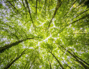 bannerAcaoTratamento